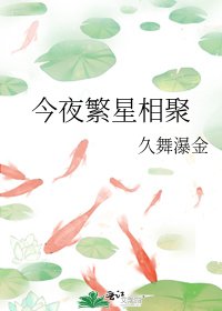 今夜繁星相聚