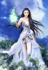 都市最豪女婿