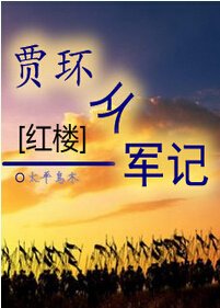 [红楼]贾环从军记