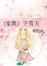 (家教）下雪天