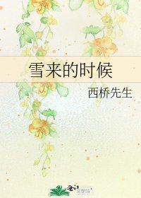 雪來的時候